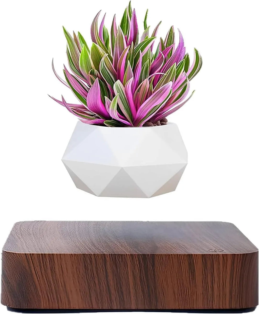 LeviFlora Floating Plant Pot - Bigem's Otaku BoutiqueEQ38VZZDT4LeviFlora Floating Plant PotBigem's Otaku Boutique Bigem's Otaku BoutiqueLeviFlora Floating Plant PotEQ38VZZDT4Dark Wood