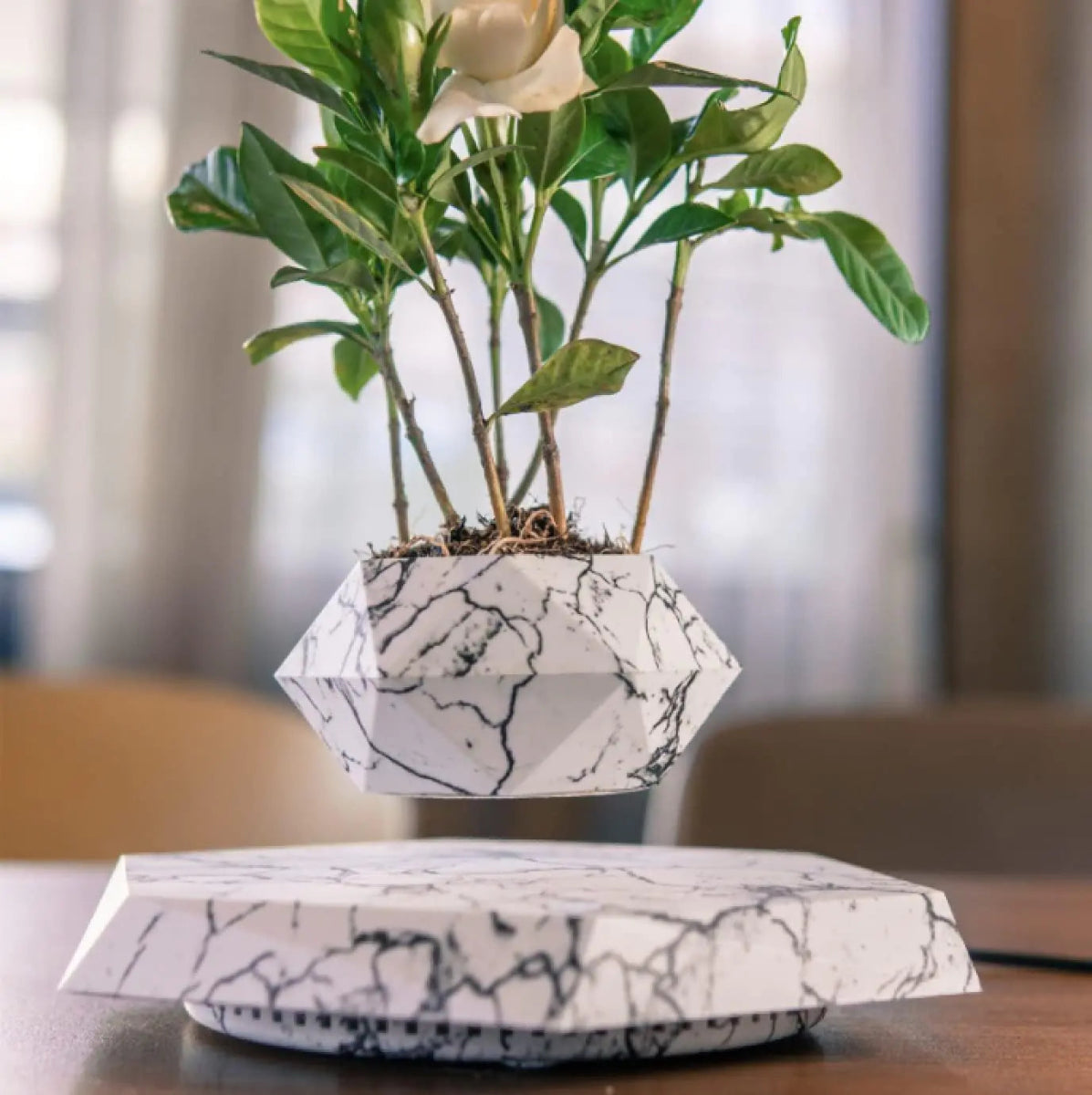 LeviFlora Floating Plant Pot - Bigem's Otaku BoutiqueG9LI3N114GLeviFlora Floating Plant PotBigem's Otaku Boutique Bigem's Otaku BoutiqueLeviFlora Floating Plant PotG9LI3N114GLight Wood