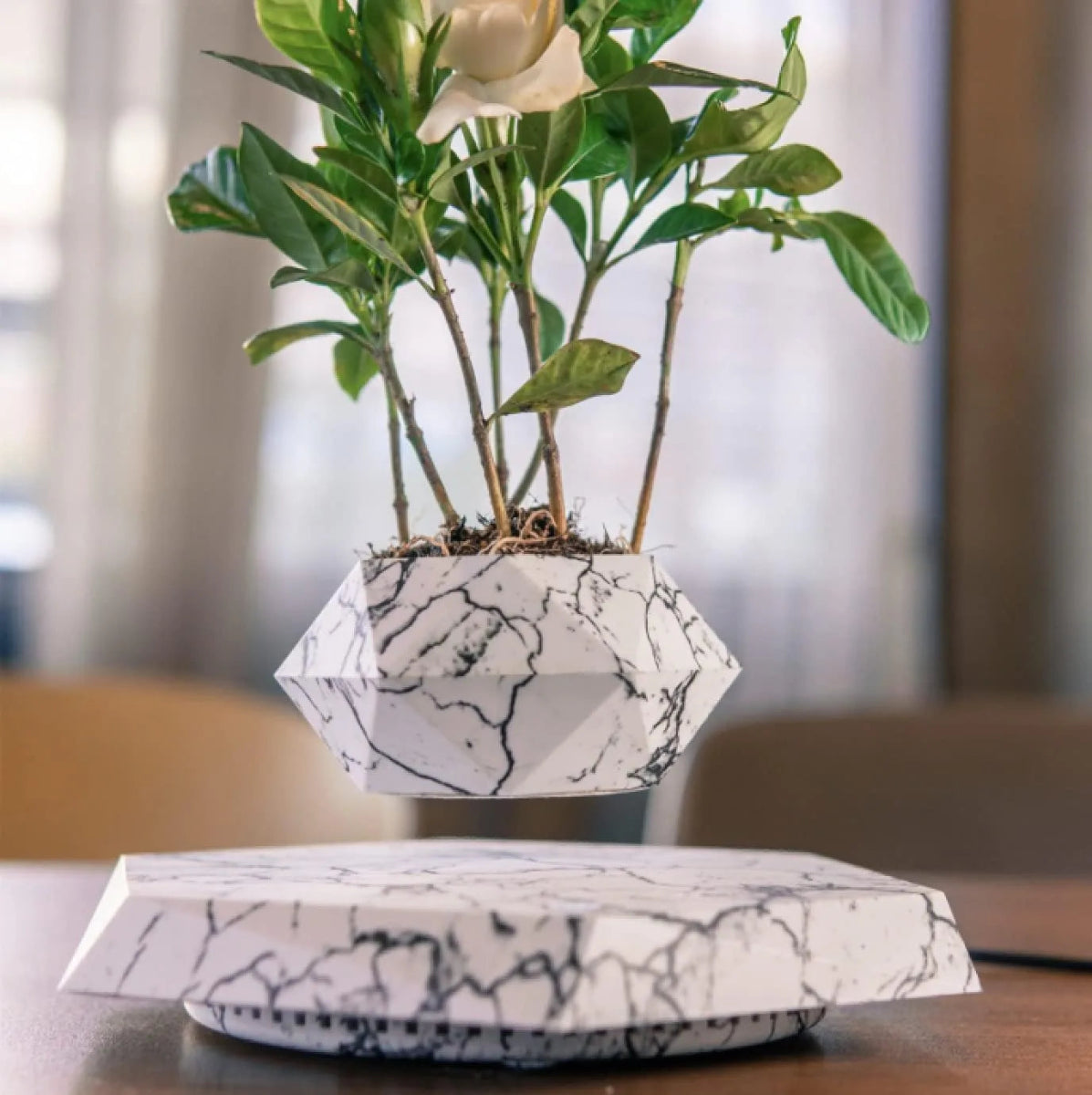LeviFlora Floating Plant Pot - Bigem's Otaku BoutiqueH21G63M6A5LeviFlora Floating Plant PotBigem's Otaku Boutique Bigem's Otaku BoutiqueLeviFlora Floating Plant PotH21G63M6A5Marble