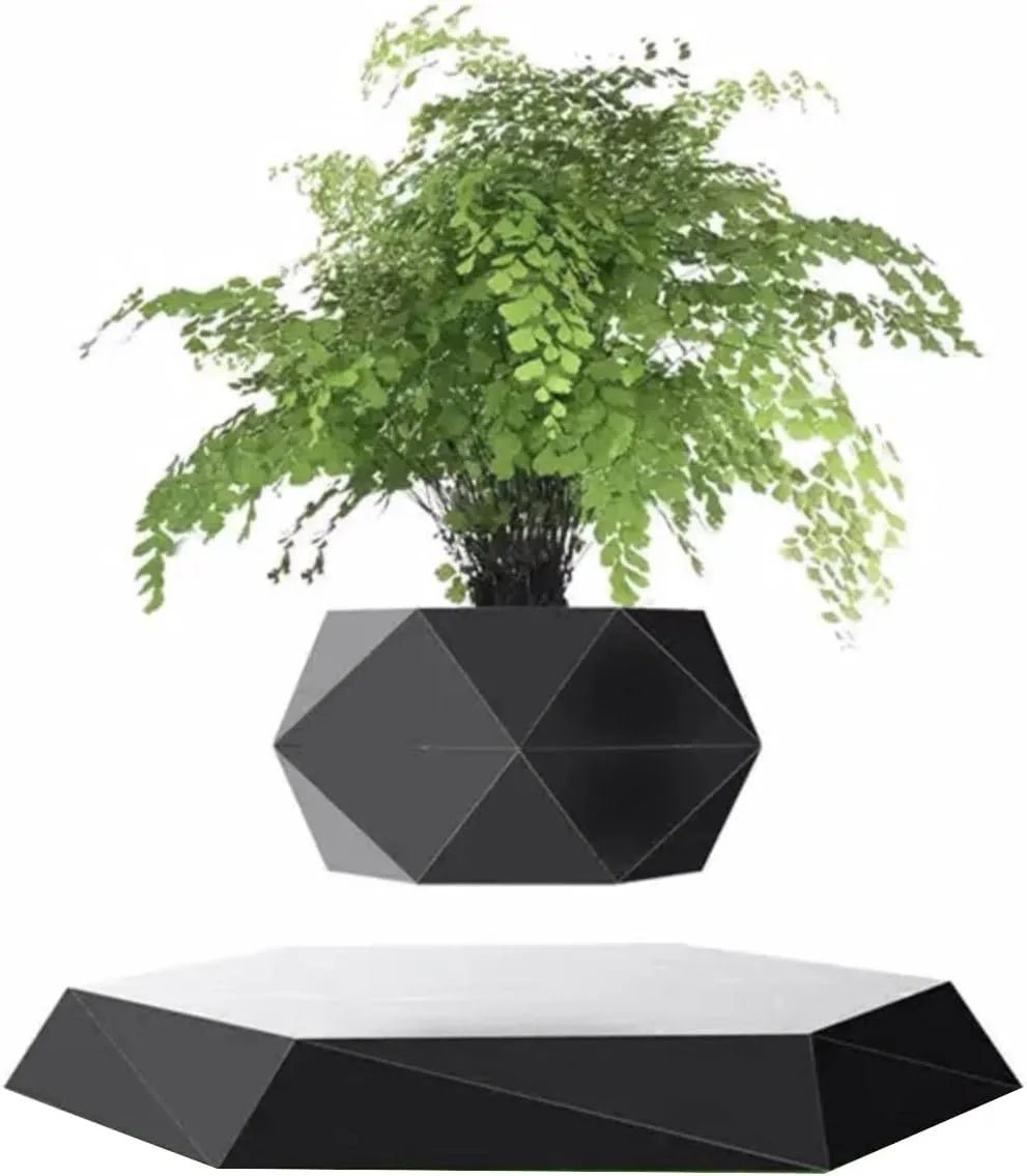 LeviFlora Floating Plant Pot - Bigem's Otaku BoutiqueOZDBQGE3DLLeviFlora Floating Plant PotBigem's Otaku Boutique Bigem's Otaku BoutiqueLeviFlora Floating Plant PotOZDBQGE3DLBlack