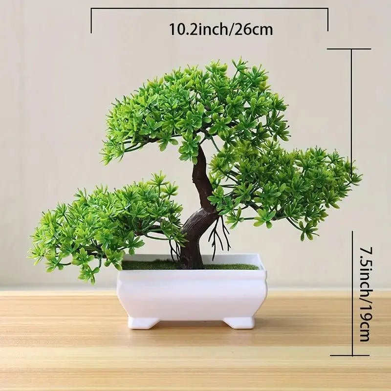 Small Bonsai Tree - Bigem's Otaku BoutiqueVVXJCT7VOBSmall Bonsai TreeBigem's Otaku Boutique Bigem's Otaku BoutiqueSmall Bonsai TreeVVXJCT7VOBGreen Pinebonsai tree