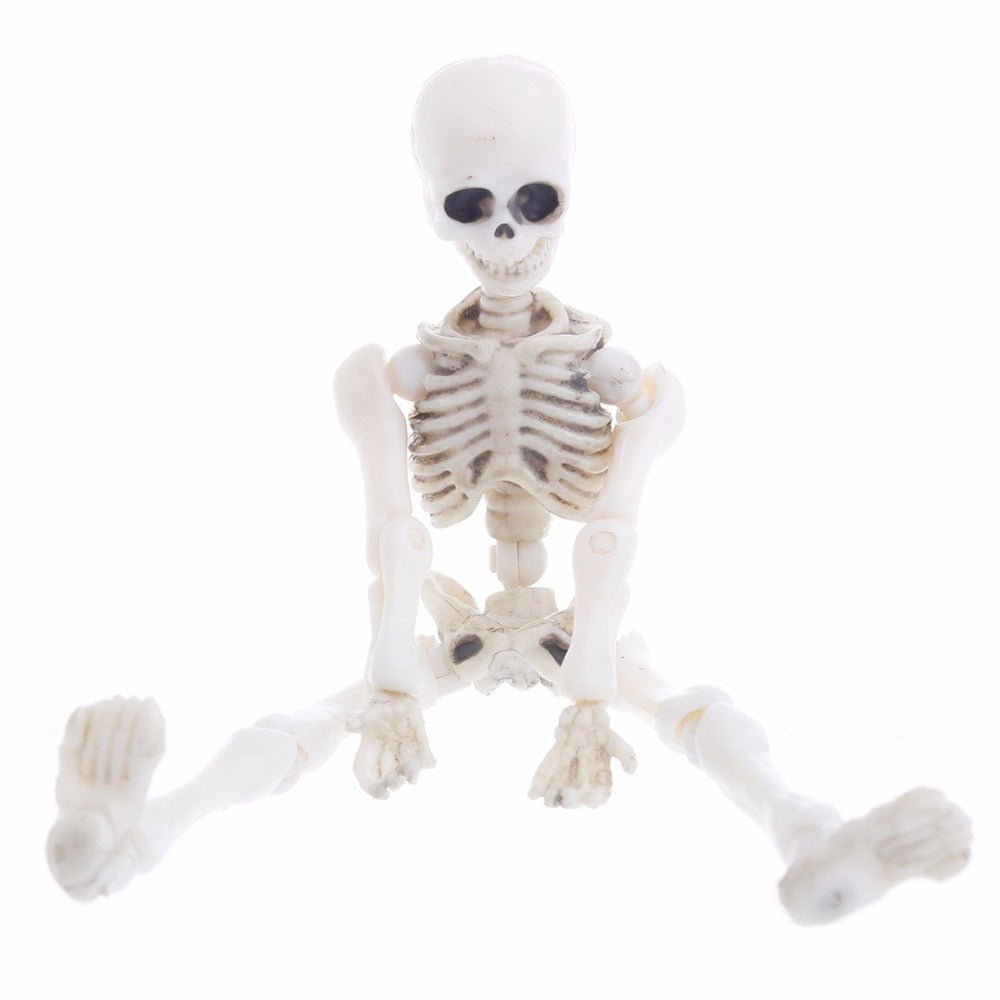 Movable Mr. Bones Skeleton - Bigem's Otaku Boutique695406_Z1WGJIDMovable Mr. Bones SkeletonBigem's Otaku Boutique Bigem's Otaku Boutique695406_Z1WGJIDWhiteToyHalloween