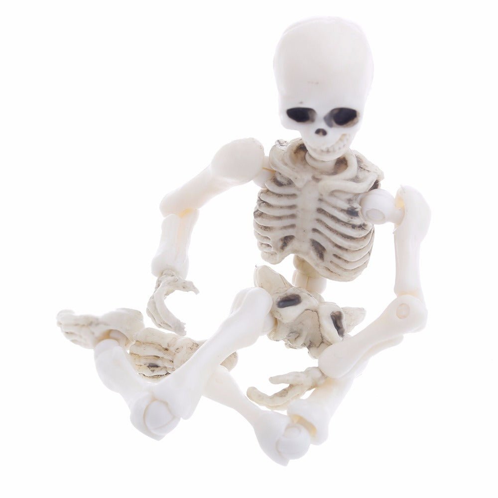 Movable Mr. Bones Skeleton - Bigem's Otaku Boutique695406_Z1WGJIDMovable Mr. Bones SkeletonBigem's Otaku Boutique Bigem's Otaku Boutique695406_Z1WGJIDWhiteToyHalloween
