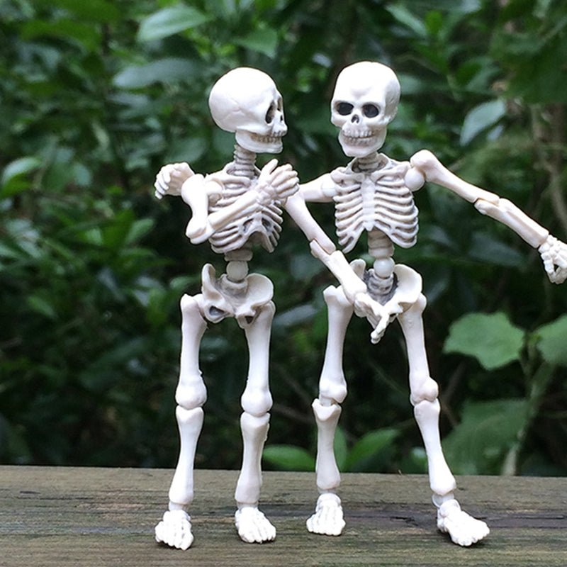 Movable Mr. Bones Skeleton - Bigem's Otaku Boutique695406_Z1WGJIDMovable Mr. Bones SkeletonBigem's Otaku Boutique Bigem's Otaku Boutique695406_Z1WGJIDWhiteToyHalloween