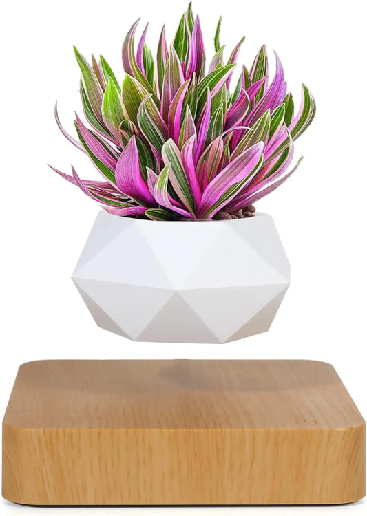 LeviFlora Floating Plant Pot - Bigem's Otaku BoutiqueG9LI3N114GLeviFlora Floating Plant PotBigem's Otaku Boutique Bigem's Otaku BoutiqueLeviFlora Floating Plant PotG9LI3N114GLight Wood