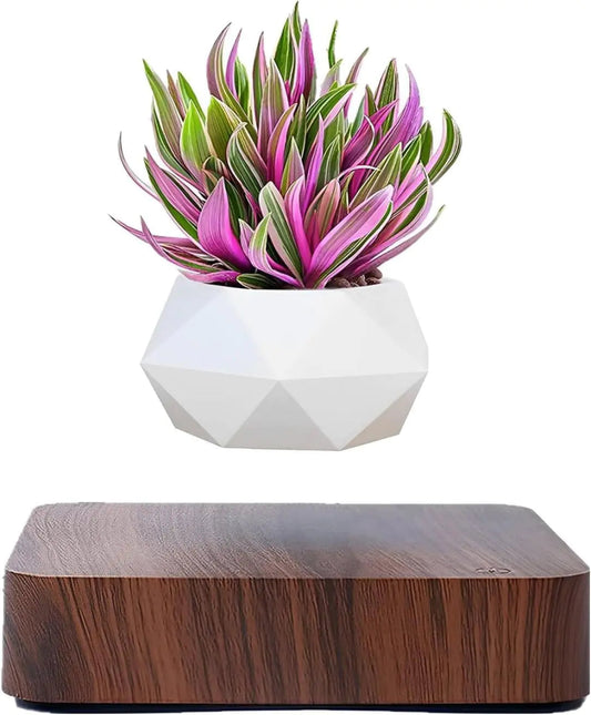 LeviFlora Floating Plant Pot - Bigem's Otaku BoutiqueG9LI3N114GLeviFlora Floating Plant PotBigem's Otaku Boutique Bigem's Otaku BoutiqueLeviFlora Floating Plant PotG9LI3N114GLight Wood